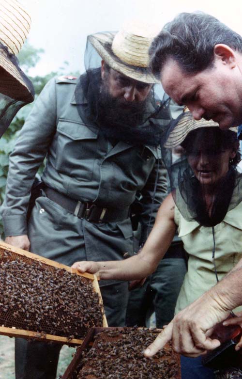 FCon trabajadores del plan apícola de Herradura, en Pinar el Río, el 31 de agosto de 1981. Foto Estudios Revolución.