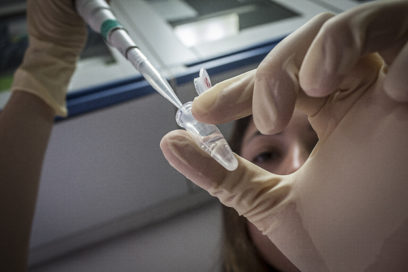 Caudal para el conocimiento