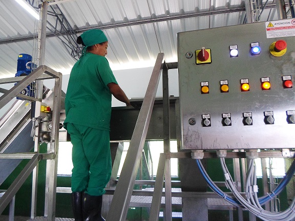 En la minindustria se producen unas 10 toneladas de pulpas diarias. Foto: Lianet Suárez