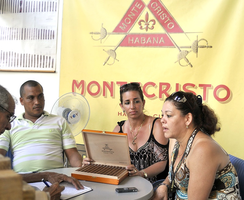 La producción de tabacos para la exportación es uno de los principales rubros del territorio artemiseño. | foto: José Raúl Rodríguez Robleda