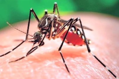 Diagnostican vigesimosegundo caso importado de Zika