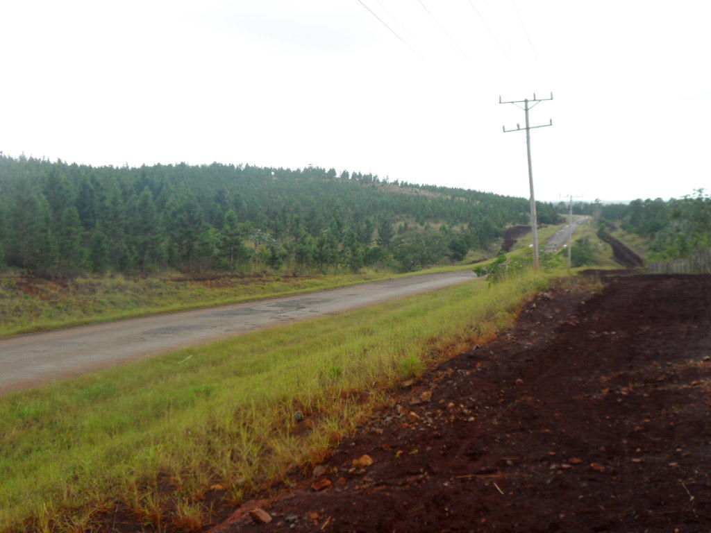 Bosques en Pinar del Río. Foto: Eduardo González Martínez