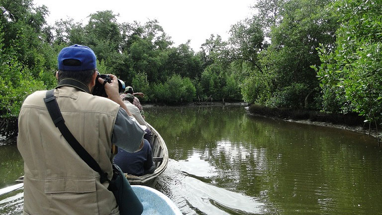 Humedal del Refugio de fauna Delta del Cauto. Foto: Delegación del CITMA en Granma