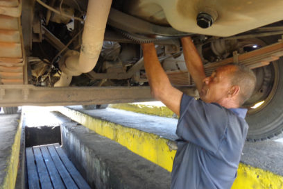 Dianas con olor a Pinar