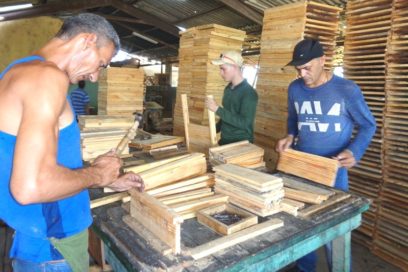 El sueño de lo posible: Día del Trabajador Forestal