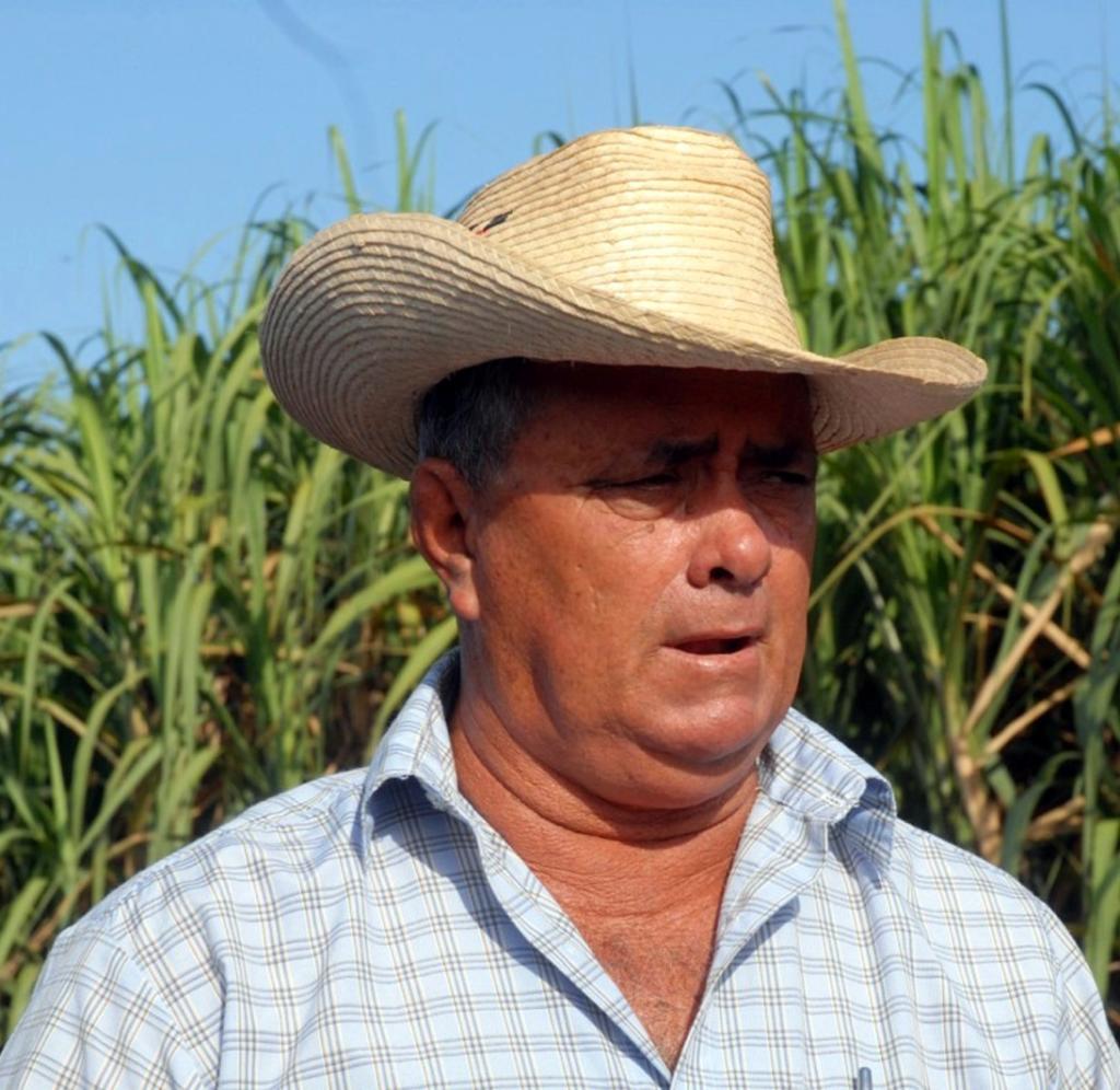 Osmel Figueroa Lugo, presidente de la UBPC Vietnam. Foto: Modesto Gutiérrez, ACN.