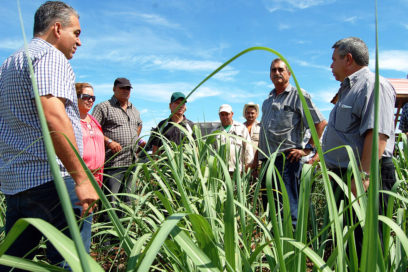 Incremento de la producción cañera: imperativo económico