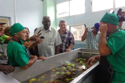 Constata Esteban Lazo avance del Valle del Yabú en Santa Clara