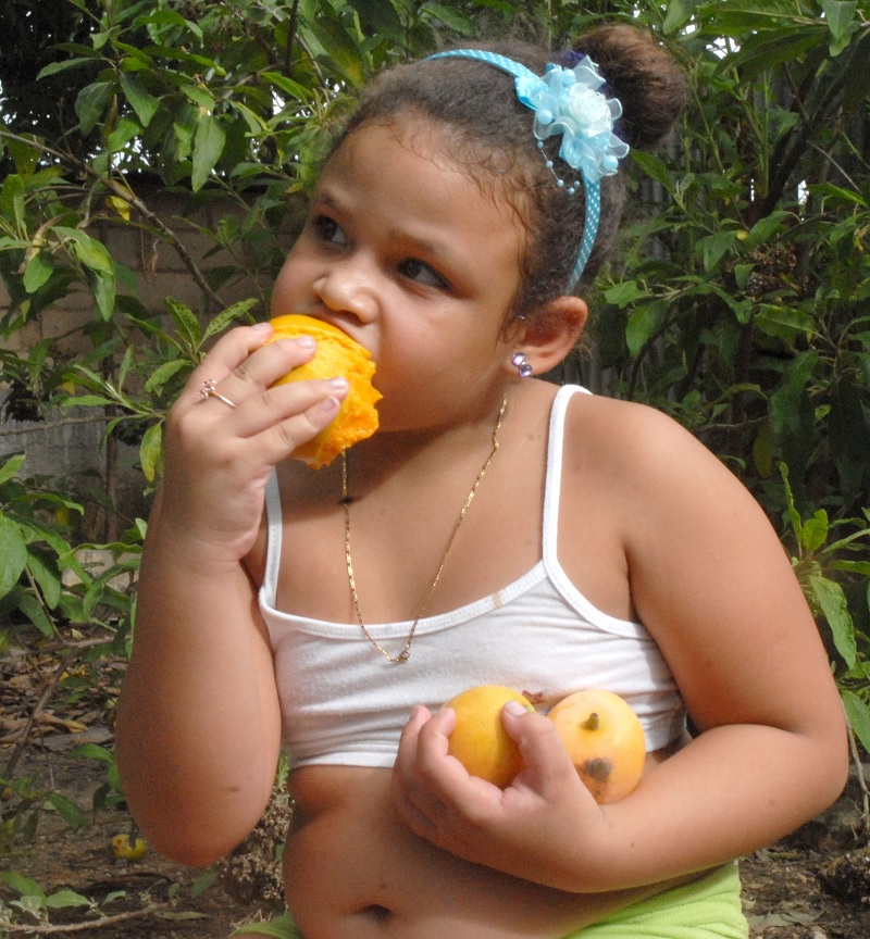 | foto: Agustín Borrego Torres