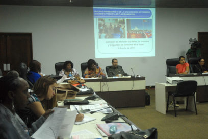 Asuntos de interés pioneril a debate