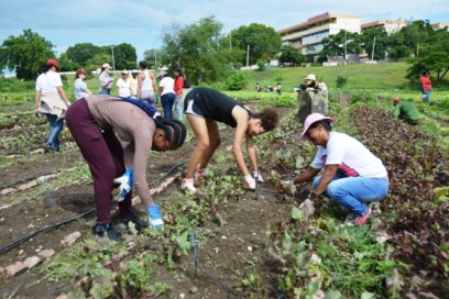 Brigada Venceremos apoya en labores agrícolas en Guantánamo