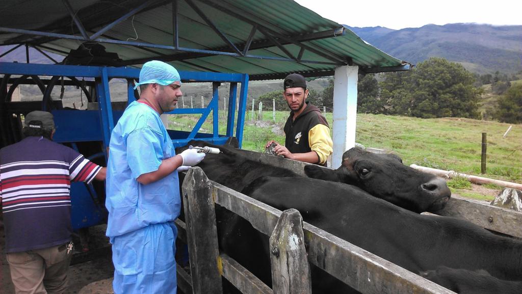 Yuliasne García es técnico en ingeniería química y actualmente labora como parte de una cooperación en la hermana República de Venezuela.
