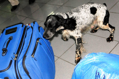 Dos noticias: una mala y una buena