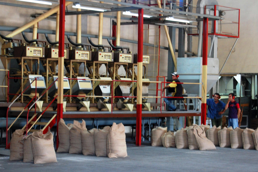 La planta de beneficio de café de Cumanayagua, en Cienfuegos, marcha en buena medida gracias a los aportes de los innovadores. Foto: Barreras Ferrán