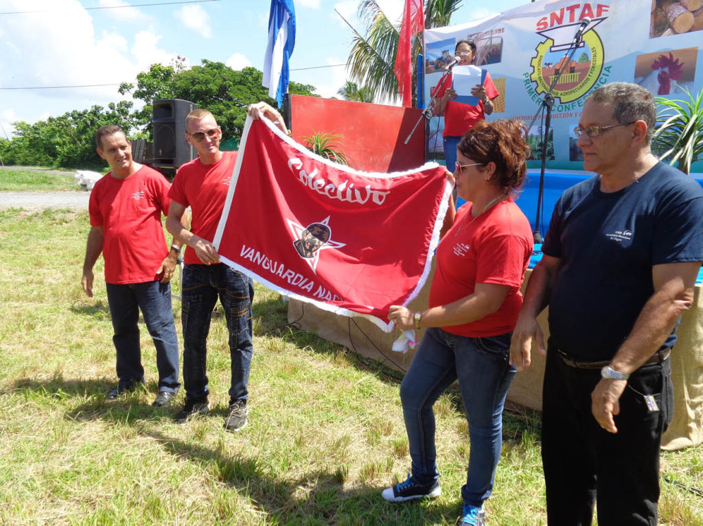 Entrega de la condición de vanguardia nacional a la Unidad Genética Porcina El Tigre. Foto: Eduardo González Martínez