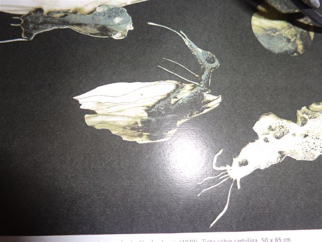 santosserrpa2 (2)