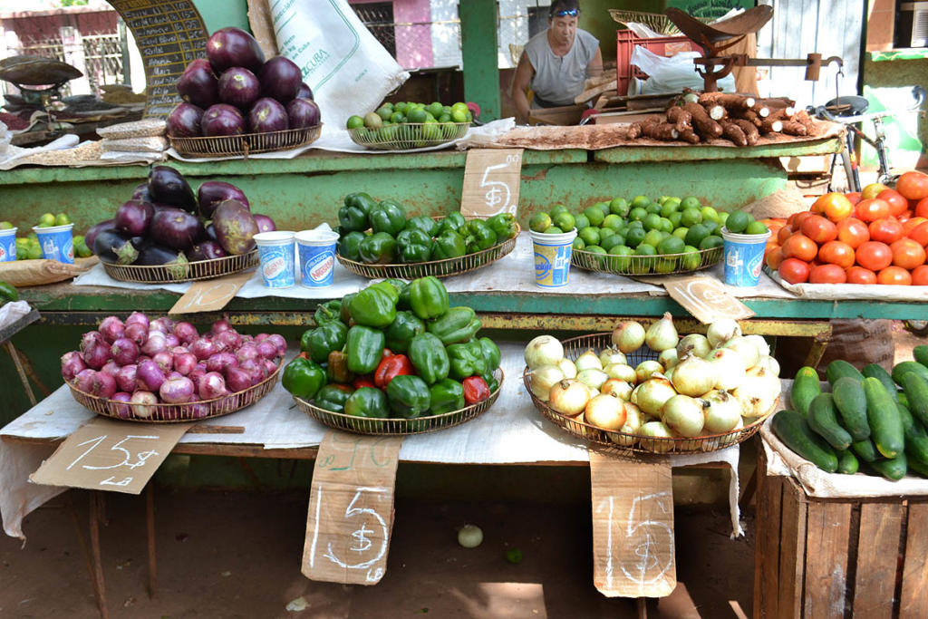 La rebaja de precios agropecuarios y el control estricto de la medida deben contribuir a esto: un mayor surtido de productos en los mercados. Foto: Eddy Martin
