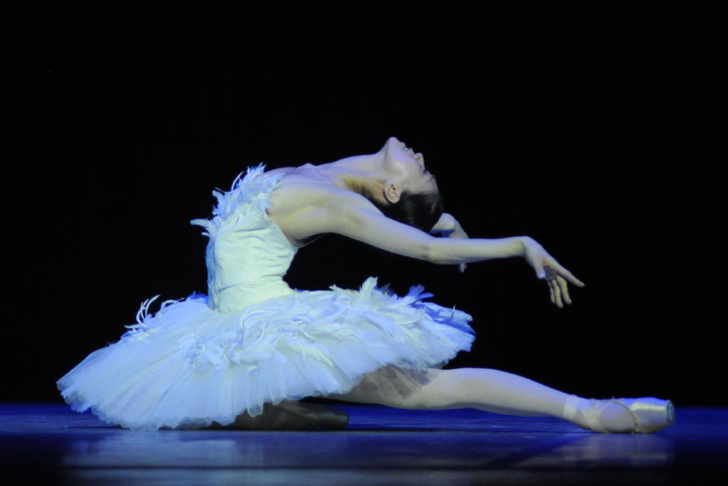 Sin perder distinción, Misa Kuranaga ofreció una singular interpretación de La muerte del cisne. La intensidad y el dramatismo de algunos movimientos trascendieron el acostumbrado lirismo de la pieza. Muy atendible. Foto: Yuris Nórido