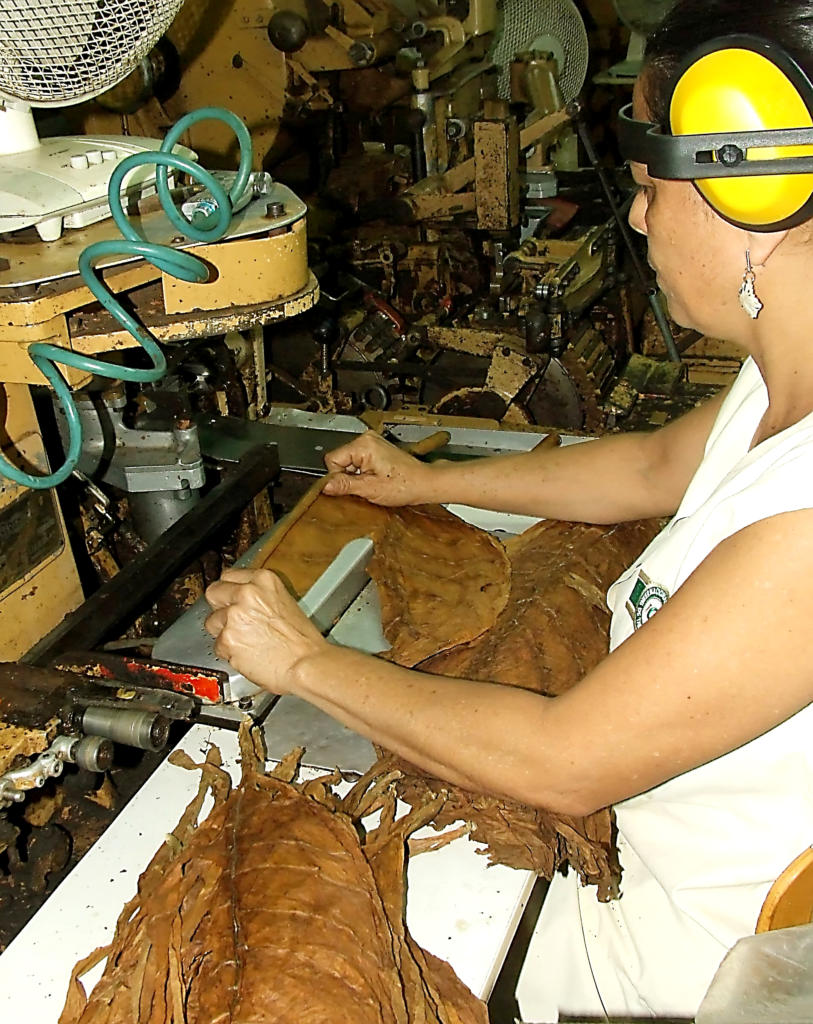 Foto: Heriberto González