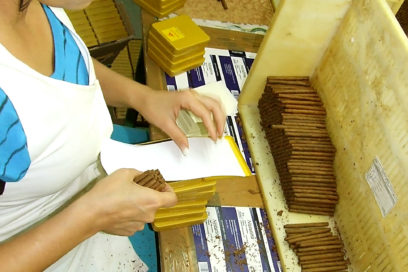 Añoranza por la norma