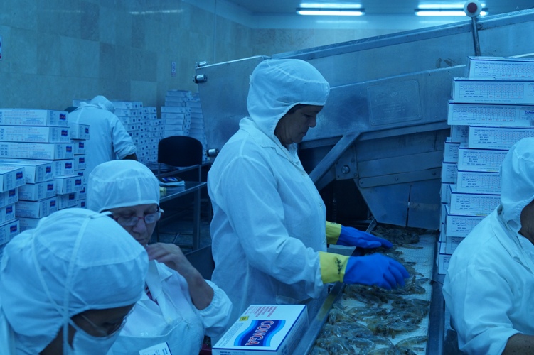 María en plena labor. Foto: Cortesía Sindicato Nacional de Trabajadores de la Industria Alimentaria y la Pesca en Manzanillo