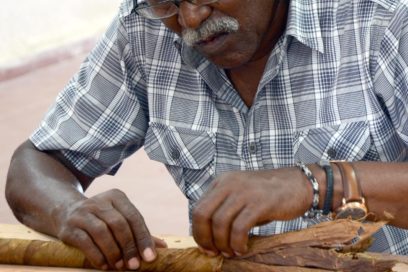 Torcedor cubano intenta otro récord de tabaco gigante