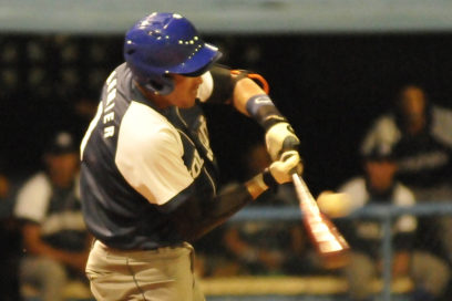 Cocodrilos le toman el gusto a pasar escoba