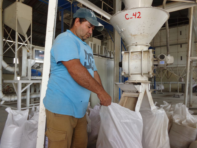 La empresa agroindustrial Máximo Gómez, del municipio de Chambas, incide en el pago de salarios sin un adecuado respaldo en la producción y procesamiento de granos.  Foto: Martínez Alejo