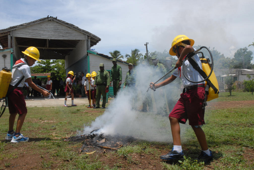 Las plantaciones de acacia, una especie introducida en Cuba hace una década, es custodiada por los guardabosques. Foto: Agustín Borrego