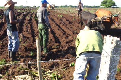 El reto de sostener las producciones agropecuarias