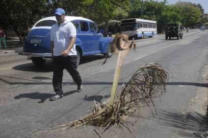 Alertas ante el vandalismo