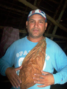 Arcides muestra con orgullo una hoja de tabaco de las cosechadas en su finca. / Fotos: Cortesía del entrevistado