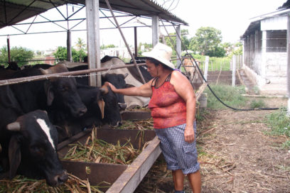 El llanto de una heroína