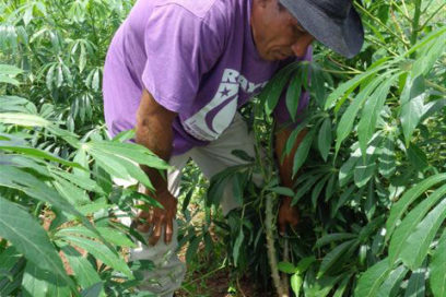 Finca El Troncón: De referencia nacional en la diversificación agropecuaria