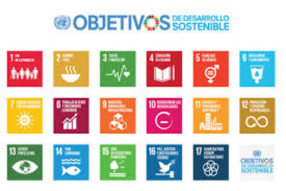 A un año de los objetivos de Desarrollo Sostenible