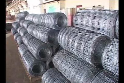 En la luna de Valencia