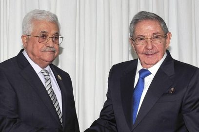 XVII Cumbre del Mnoal: Desarrolló Raúl intensa agenda bilateral