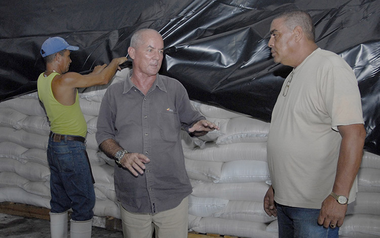 Los almacenes de la Unidad Empresarial 404 de la Empresa Mayorista han sido protegidos antes el posible deterioro de las condiciones climáticas.(Foto: Ramón Barreras Valdés)