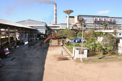 Optimismo en los azucareros de Artemisa