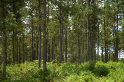 La agricultura tiene que adaptarse al clima