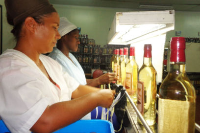 Ember potencia la eficiencia