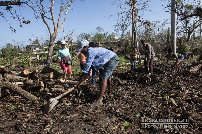 En Baracoa y Maisí, apoyando en la recuperación las brigadas de estudiantes universitarios Ernesto Che Guevara.Foto: Reno Massola 