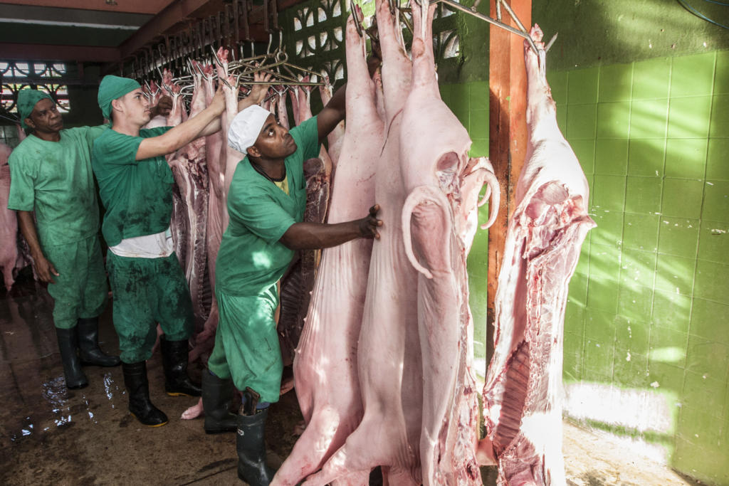El esfuerzo se inserta dentro del movimiento `productivo por las sendas del triunfo. Foto: René Pérez Massola