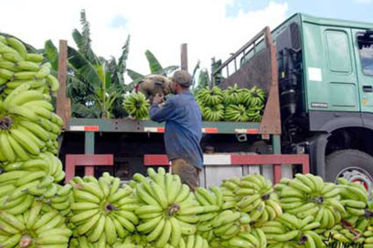 Solidaridad obrera potenciada