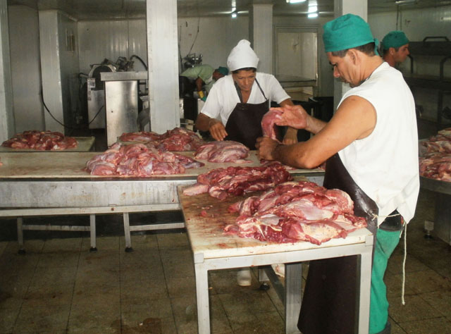 El combinado genera un alto valor agregado que posibilita un notable crecimiento del salario medio por trabajador en la empresa.Foto: José Luis Martínez Alejo 