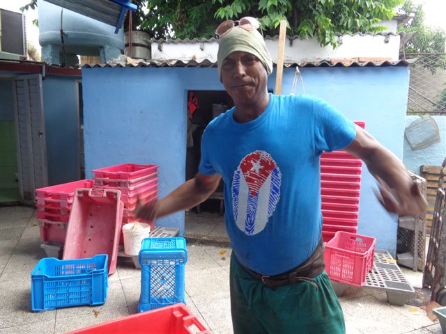 Con la bandera cubana en su pecho este trabajador defiende la dignidad de una nación. Foto: Lourdes Rey Veitia