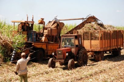 Imponen sello por 50 años en la agroindustria azucarera