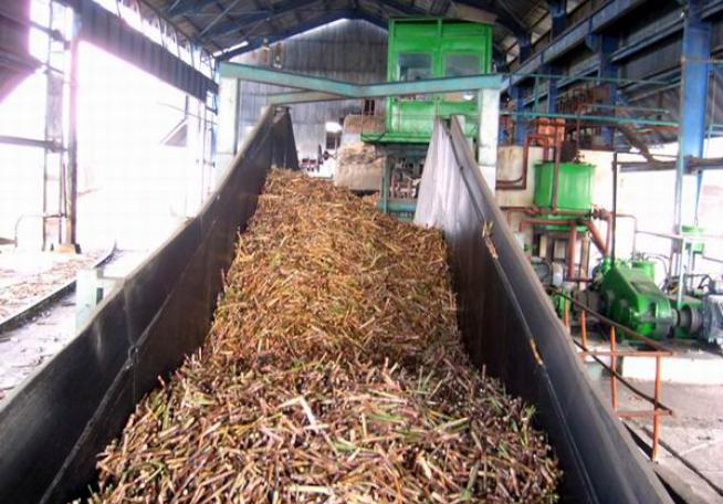 Industria azucarera cubana.