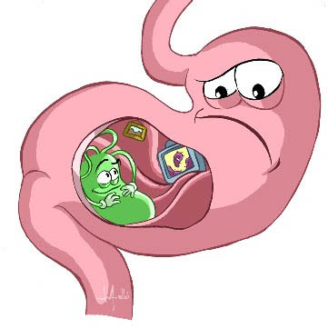 Cólera: infección intestinal aguda producida por la bacteria Vibrio cholerae que se encuentra en el agua y se transmite por ella o por alimentos contaminados. Los síntomas principales son diarrea, vómitos, calambres en las piernas y debilidad. Es una enfermedad que se propaga muy rápido en situaciones de emergencia.
