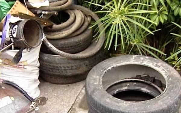 Desechar todo elemento que esté al aire libre y pueda acumular lluvia, y ser utilizado por el mosquito Aedes aegypti. Destruir cascarones, botellas y latas.